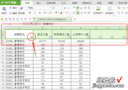 怎么用按照公式自动填充 wps表格怎么用宏筛选数值并填充