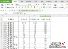 怎么用按照公式自动填充 wps表格怎么用宏筛选数值并填充