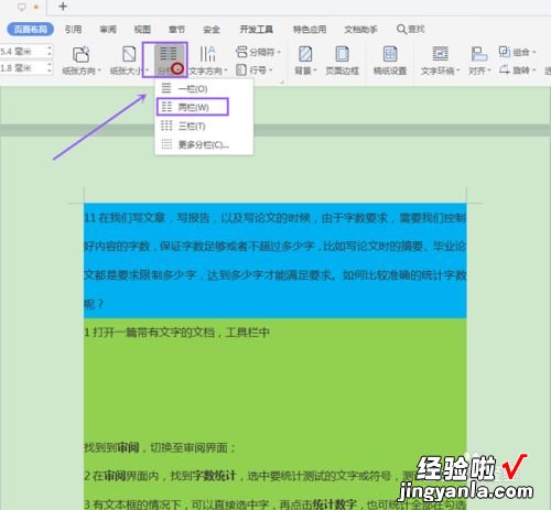 怎么到打印的时候出现page了 求助关于wps双页码的问题