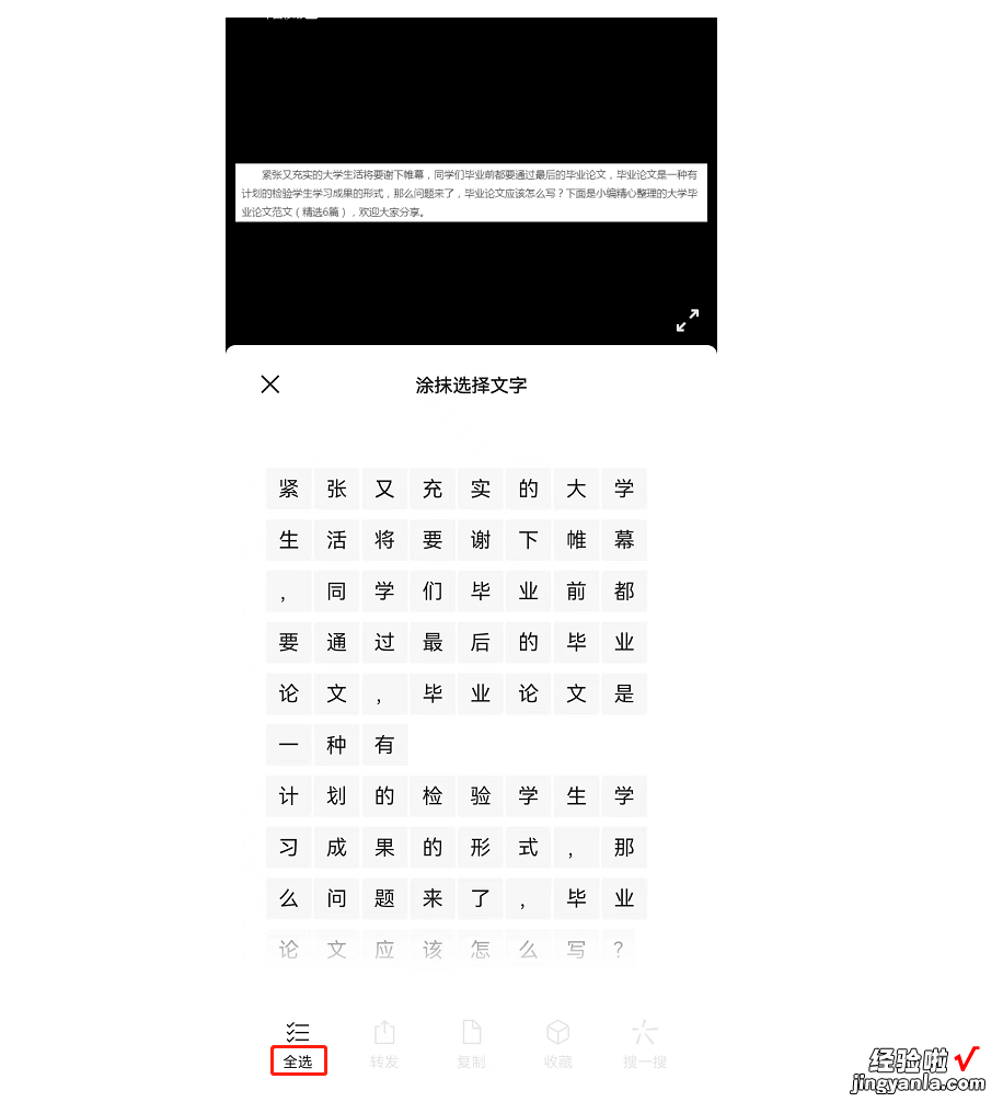 怎么把网页上的文字复制到word 网页内容复制不了怎么办