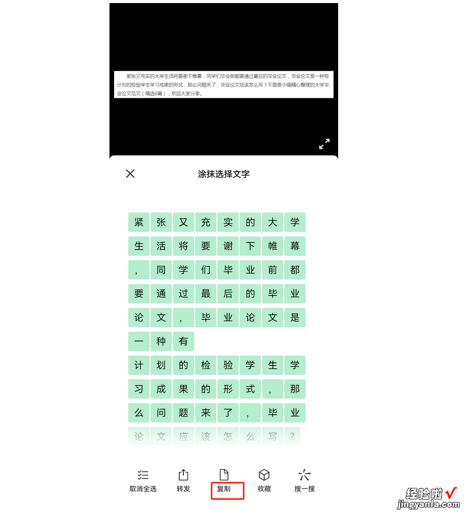 怎么把网页上的文字复制到word 网页内容复制不了怎么办