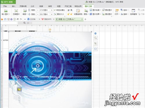 wps表格如何引用图片 怎么在wps上贴照片