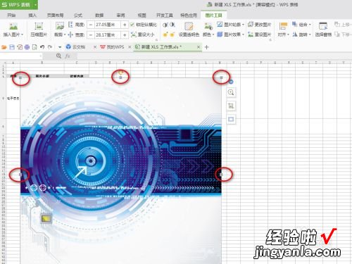 wps表格如何引用图片 怎么在wps上贴照片