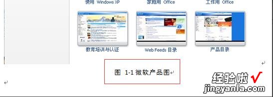 word交叉引用怎么操作呀 word里面的交叉引用怎么用