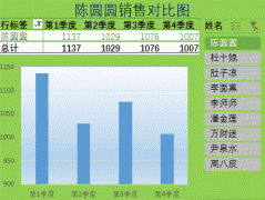 【220期】这才是领导要的切片图表，动态切换，太漂亮，EXCEL报表