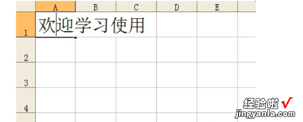 excel表格怎么设置竖版文字 在excel中怎样竖行打字