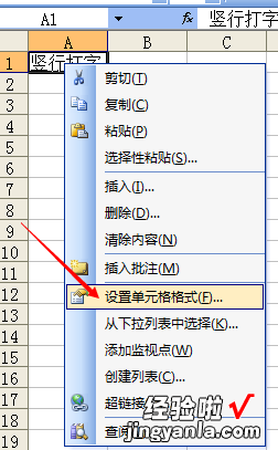 excel表格怎么设置竖版文字 在excel中怎样竖行打字