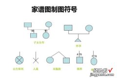 家谱图怎么画 如何绘制家谱图