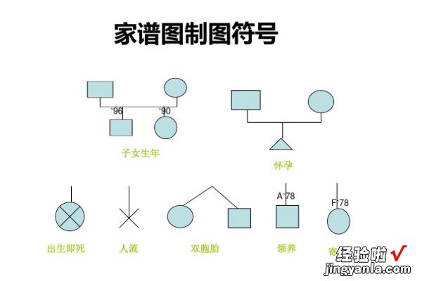 家谱图怎么画 如何绘制家谱图