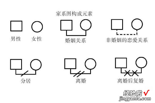 家谱图怎么画 如何绘制家谱图