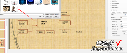 ppt如何导入图片做背景 用网上的图片做ppt背景怎么弄