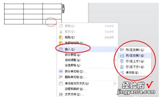 如何在word中表格里插入一列怎么弄 word怎么在表格中添加一列