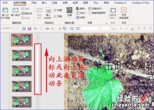 ppt背景图如何全部更换 ppt背景怎么改图片