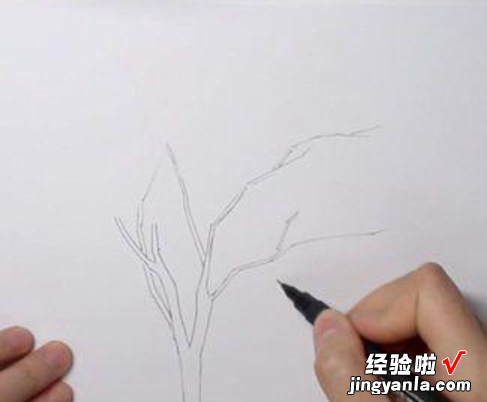 枫叶怎么画简笔画 怎么画枫叶简笔画