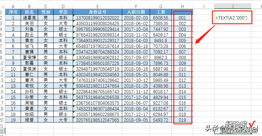 excel中的text函数，为什么是必须掌握的基本函数之一？