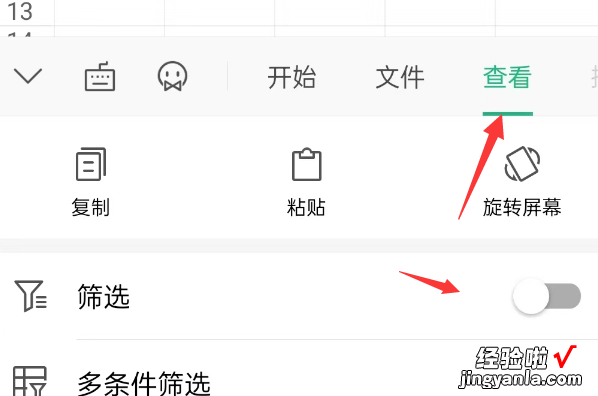 如何用手机在wps上筛选数据 wps筛选在哪里