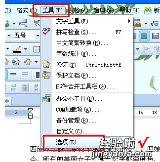 WPS无法修改文字格式 wps文字里的表格不能调整行高