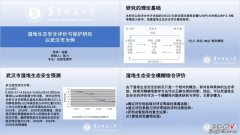 帮同事改了份PPT，学术PPT还能做成这样？