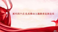 本文带来一个党课ppt+讲稿配套课件抓牢四个点扎实推动主题教育走深走实