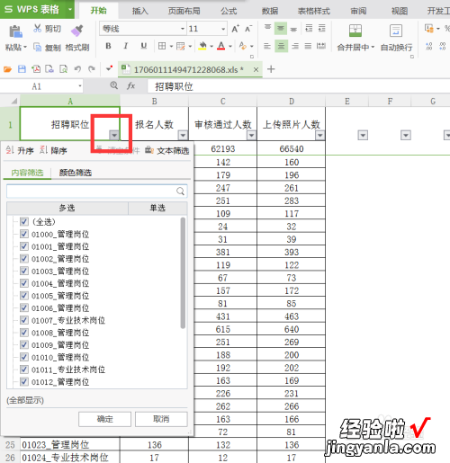 wps怎么筛选指定内容 wps怎么筛选出要的内容