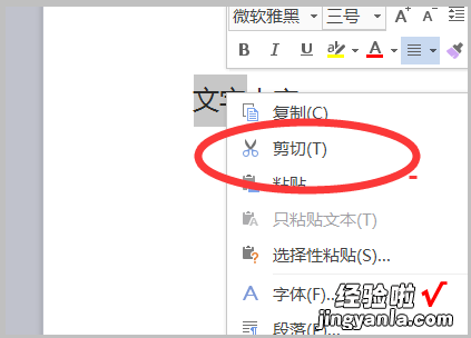 word2007如何全选文字进行复制 word中文本的复制有哪些方法