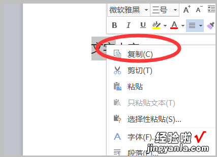 word2007如何全选文字进行复制 word中文本的复制有哪些方法