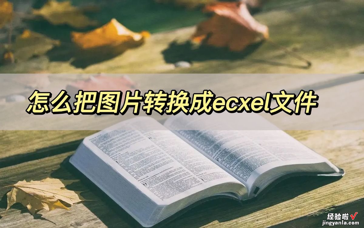 图片怎么导成excel表 怎么把图片转换成excel文件