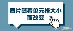 图片可以随着单元格大小而改变？是的，不信你可以来试试