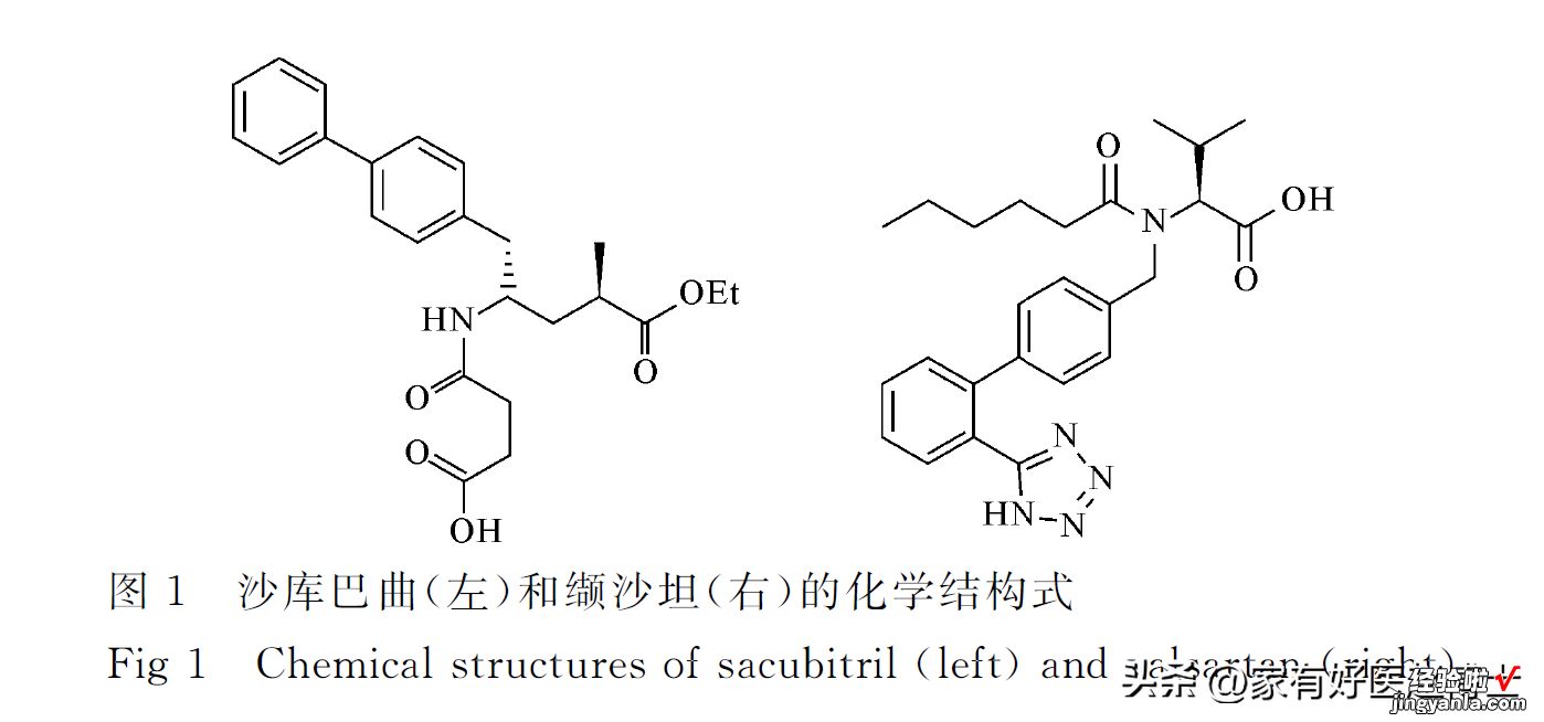 最新高血压指南：新增一种一线降压药！它有何优势？需要换药吗？