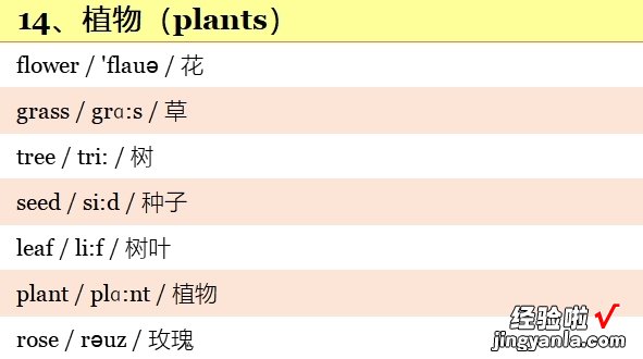 小学英语3~6年级全套单词！分类词汇表：带音标！小学生必看！