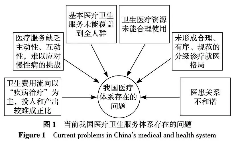 在我国医疗卫生服务体系中，全科医生该发挥的哪些作用？