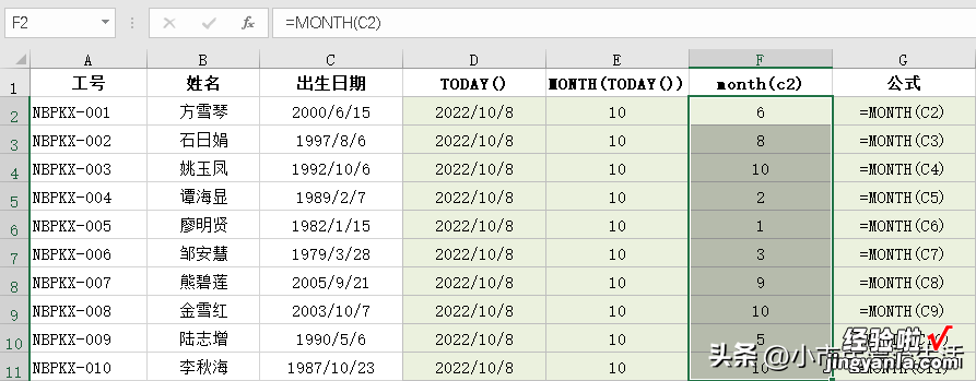 获取月份MONTH函数应用技巧