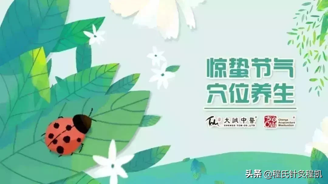 惊蛰养生的正确打开方式，重点都帮你划好了!