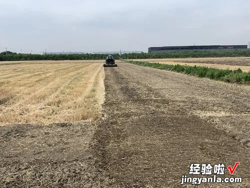 秸秆不让烧，夏收后该咋处理才好？这3个方法，你觉得哪个更好？