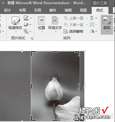 word怎样按规定裁剪图片 如何把word文档的照片剪切出来