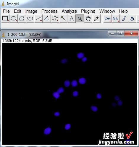 想快速知道细胞的粒径？就用它吧