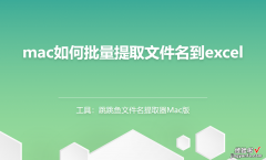 mac苹果电脑，批量提取文件名到excel表格