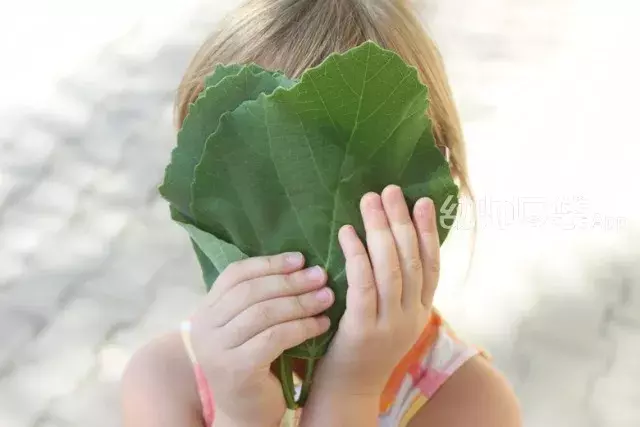 一篇春季美术活动清单，竟然疯传了整个幼儿园！