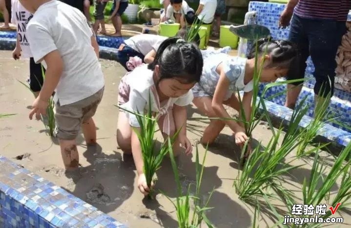 劳动课重磅回归！九月起中小学生要学“煮饭”，老师：有得忙了