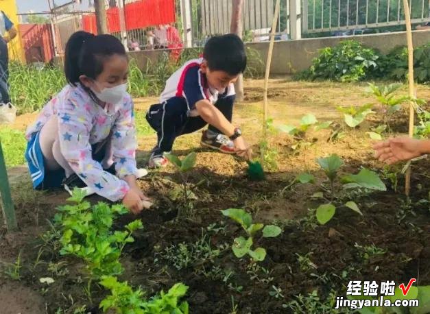 劳动课重磅回归！九月起中小学生要学“煮饭”，老师：有得忙了