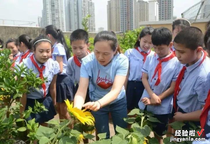 劳动课重磅回归！九月起中小学生要学“煮饭”，老师：有得忙了