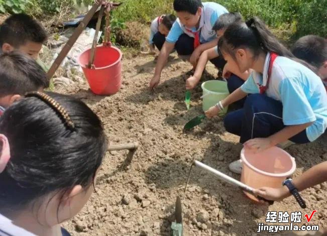 劳动课重磅回归！九月起中小学生要学“煮饭”，老师：有得忙了