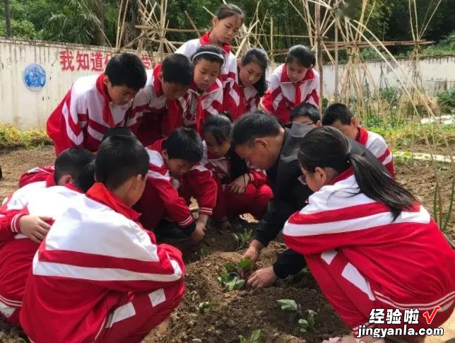 劳动课重磅回归！九月起中小学生要学“煮饭”，老师：有得忙了