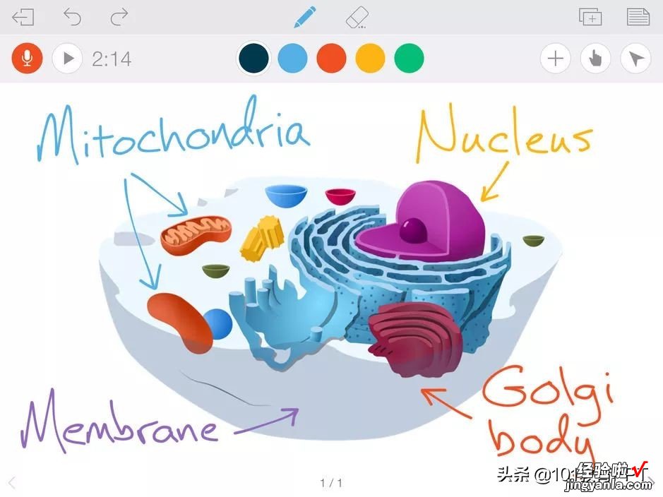 让数学老师爱不释手的APP，都在这里了！