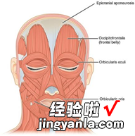 微笑有益于身心健康，那假笑呢？