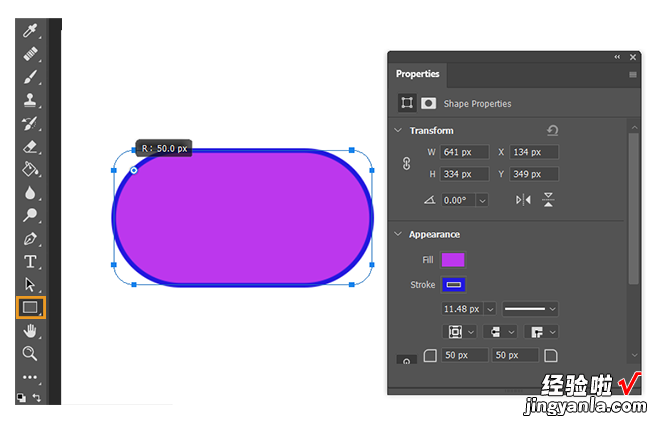 「Adobe国际认证」Photoshop软件，如何绘制矩形并修改描边选项？