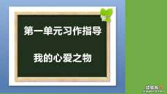 五年级上册第一单元习作课件《我的心爱之物》