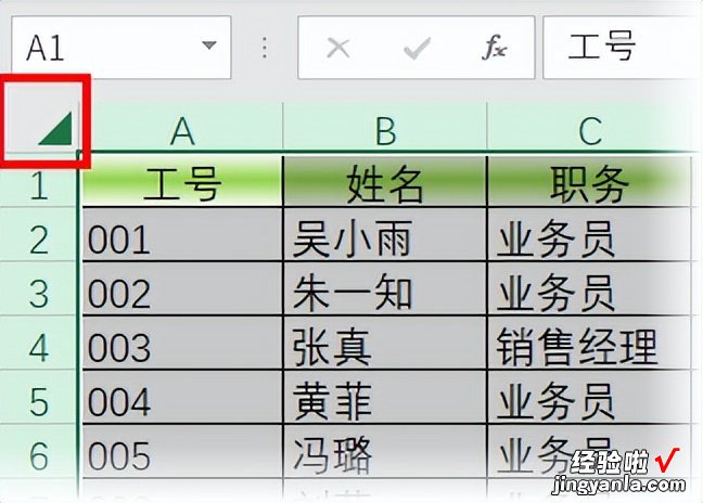 Excel教程：保护公式单元格，不让别人查看公式