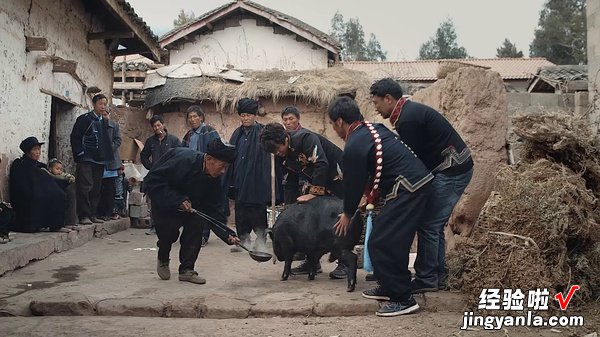 《我的诗篇》朴实拍成了浮夸，纪录片拍成了PPT！