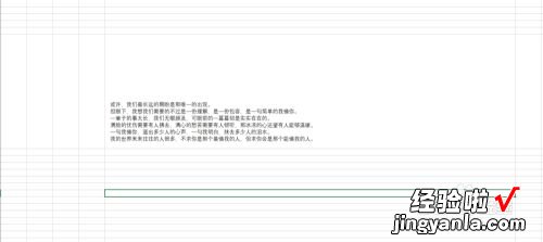 怎样在excel编辑段落文字 excel如何设置段落